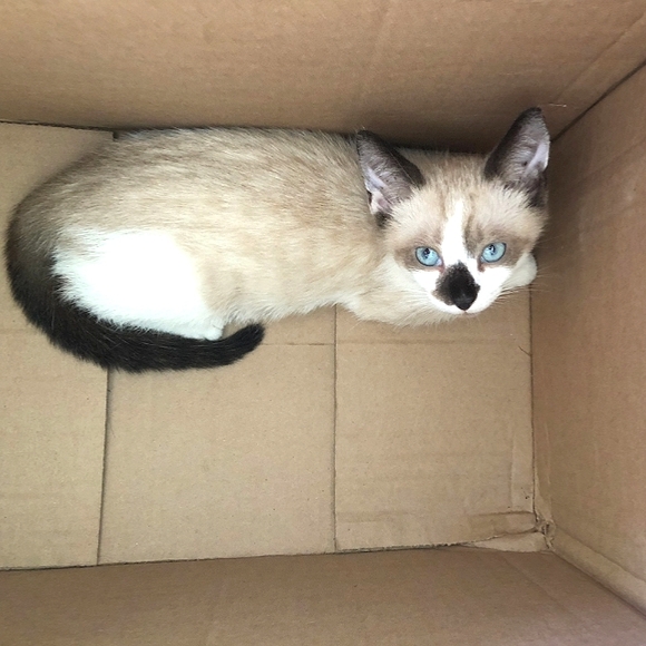 💕❤️JEWELRY Buy 2, Get 1 FREE❤️💕 - Picture 9 of 16